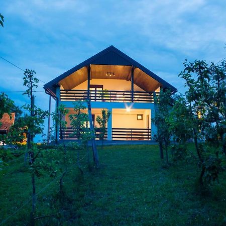 Holiday Home Dandelion With Hot Tub & Sauna Cetingrad Esterno foto