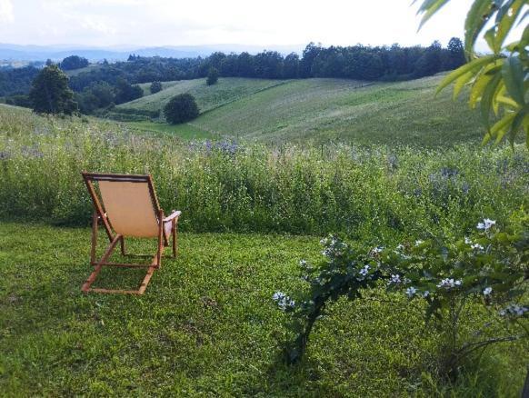 Holiday Home Dandelion With Hot Tub & Sauna Cetingrad Esterno foto