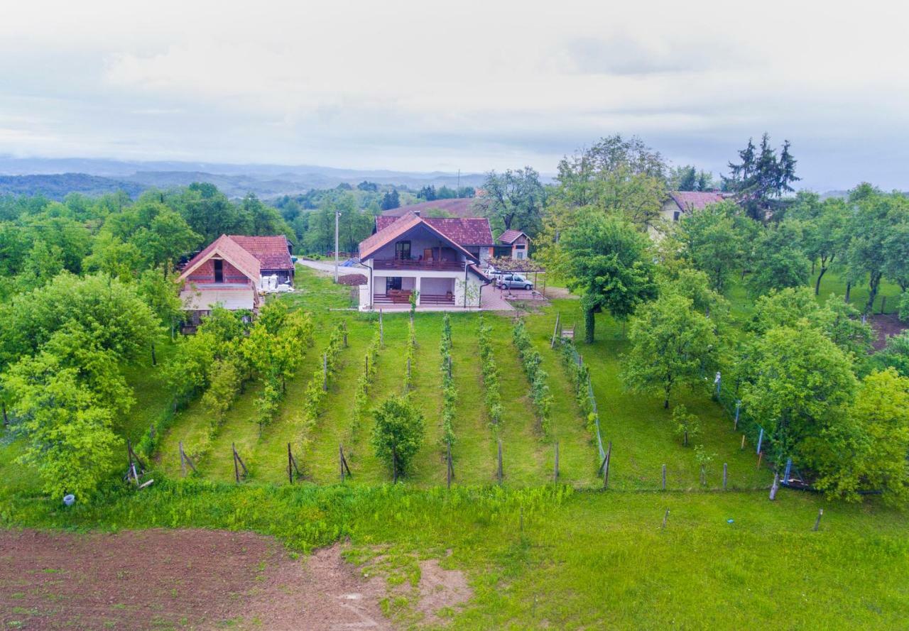 Holiday Home Dandelion With Hot Tub & Sauna Cetingrad Esterno foto