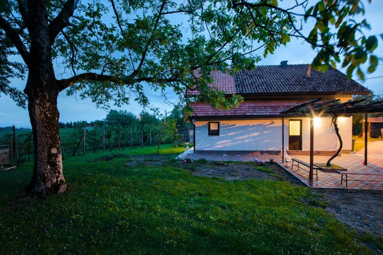 Holiday Home Dandelion With Hot Tub & Sauna Cetingrad Esterno foto